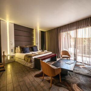 suite junior verri-1